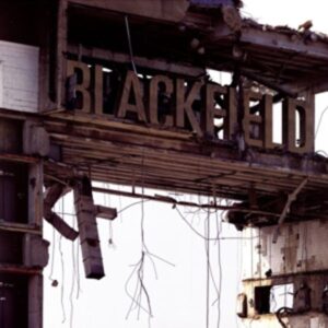 Blackfield II