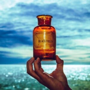 Blackfield V (Black Vinyl)