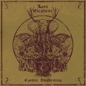 Cosmic Awakening (Ltd.Orange Vinyl)