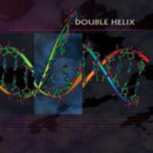 Double Helix