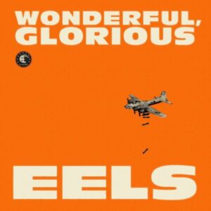 Eels: Wonderful