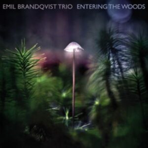 Entering The Woods (ltd/180gr/Black Vinyl)