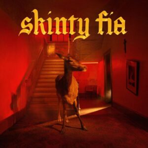 Fontaines D. C.: Skinty Fia