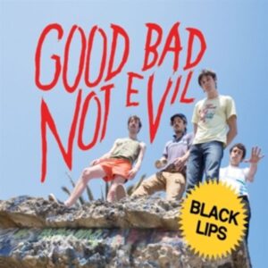 Good Bad Not Evil (Deluxe Edition Black Vinyl)