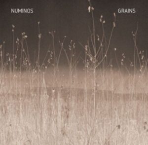 Grains (LP)