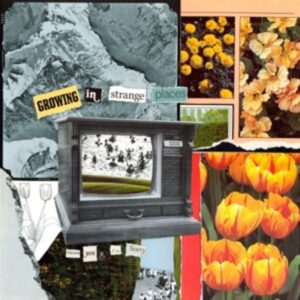 Growing in Strange Places (ltd. Orange Crush Vinyl