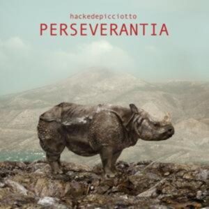 Hackedepicciotto: Perseverantia