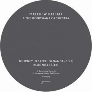 Journey In Satchidananda/Blue Nile