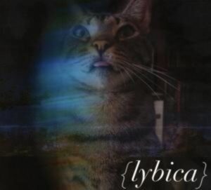 Lybica