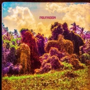 Polymoon: Chrysalis (Digipack)