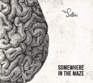 Somewhere in the maze