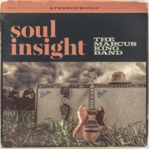 Soul Insight (2LP)