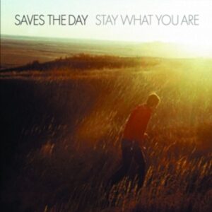 Stay What You are (Splatter Vinyl)