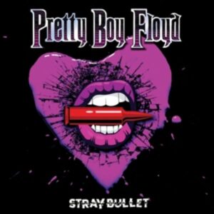 Stray Bullet