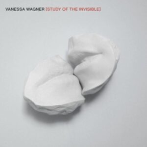 Study Of The Invisible (2LP)