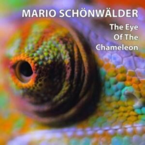 The Eye Of The Chameleon