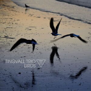 Tingvall Trio: Birds (Digipak)