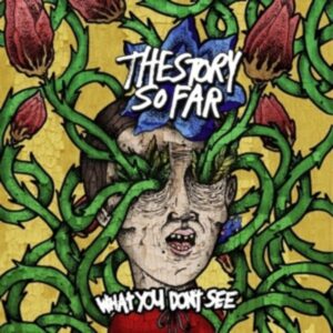 What You Dont See (Ltd.Vinyl)