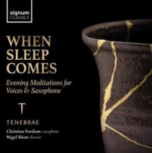 When Sleep comes-Lieder