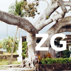 Zg (lp+mp3)